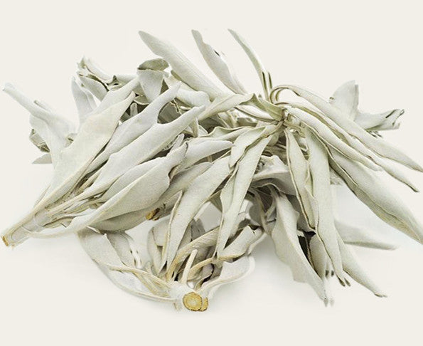 White Sage Pure Leaf Large Bundle